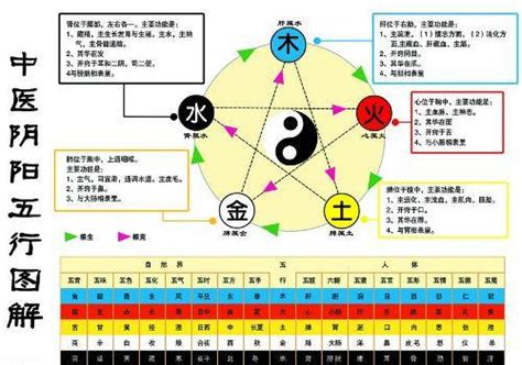 金生水|怎么理解五行理论中的“金生水”？